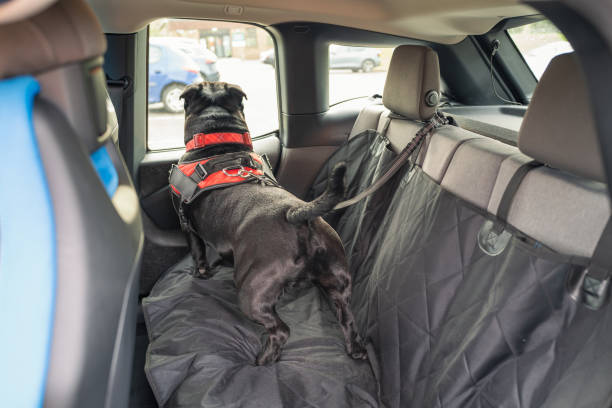 Top 5 Benefits of Using Auto Towel Seat Covers in Your Car